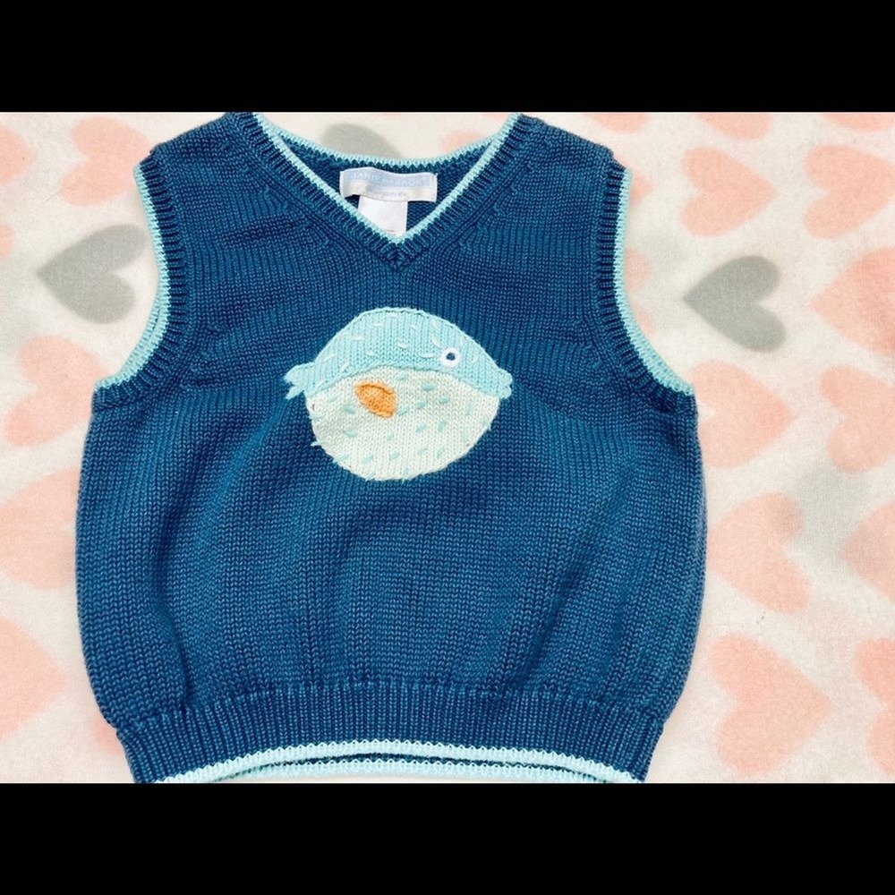 Janie and‎ Jack Sweater Vest Kids 6-12M Blue Puffer Fish Cotton Knit Layering